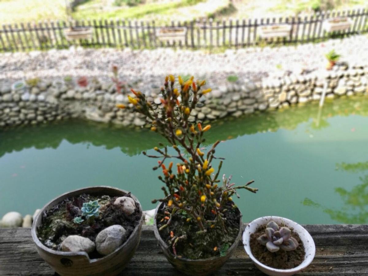Ta Van Family Homestay Sapa Εξωτερικό φωτογραφία